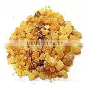 Olibanum Oil thumbnail-1