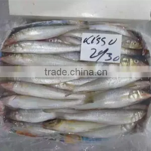Frozen Lady Fish/silago Shima/silver Fish thumbnail-2