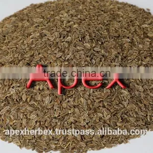 Dill Seeds TBC thumbnail-2