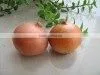 Holland Fresh Yellow Onion thumbnail-1