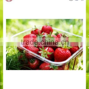 Best Price Fresh Strawberry thumbnail-3