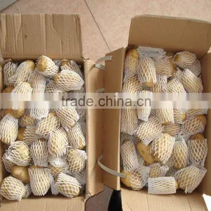 Fresh Natural Potato(new Crop) thumbnail-1
