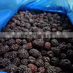 High Quality Frozen IQF Balckberries, thumbnail-1