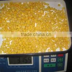 New Crop Frozen Mixed Vegetables thumbnail-4