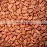 Peanut Kernel (Large Size) thumbnail-1