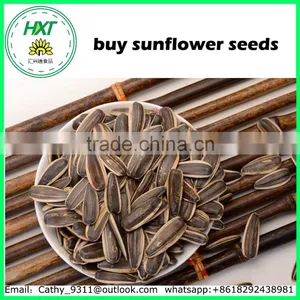 Nice Quality Snacks Buy Sunflower Seeds for Human Cunsumption thumbnail-1