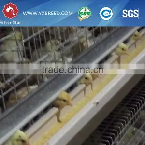 Baby Chicken Hen House Cage for Nigeria Growing Layers thumbnail-4