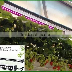 IP65 36W LED Grow Bar Light for Microgreens Seed thumbnail-1