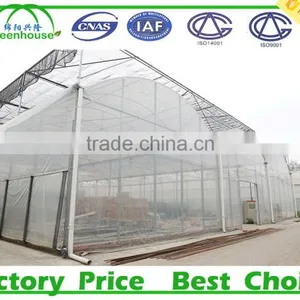 200 Micron UV Resistant Multi Span Plastic Film Agricultural Commercial Greenhouse thumbnail-1