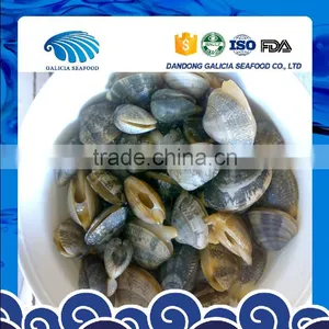Frozen Boiled Baby Clam Size 21-30 thumbnail-1