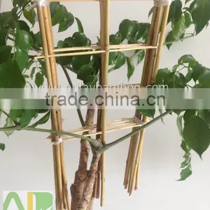 50cm Garden Bamboo Trellis for Supporting Plants thumbnail-1
