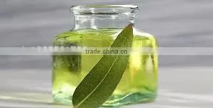 Eucalyptus Oil thumbnail-1