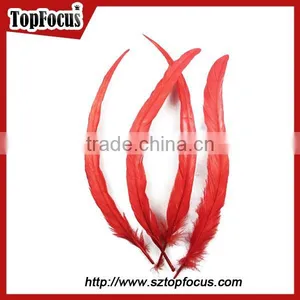 Dyed Color Big Long Natural Grizzly Rooster Feathers for Sale thumbnail-5