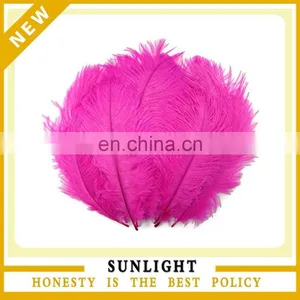 Cheap Wedding Decoration Centerpieces Ostrich Feather for Sale thumbnail-1