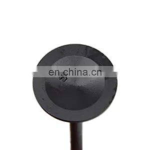 Engine Intake & Exhaust Valve MR994498 for Mitisubishi 4G69 thumbnail-3