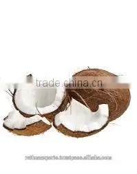Coconut From 500gms to 600gm thumbnail-3