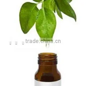 Bulk Wholesale Tea Tree Extract Oil Massage Oil thumbnail-1