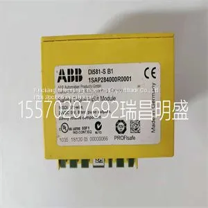 Module Spare Parts DI581-S B1 1SAP284000R0001 thumbnail-1