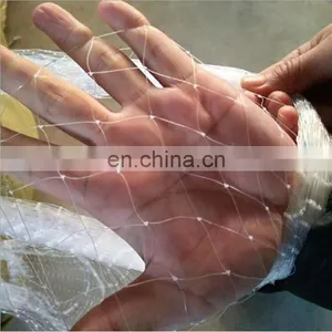 China Manufacture Extruded Bird Net thumbnail-5