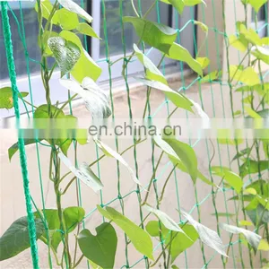 Vegetable Plastic Climbing Netting Vegetable Plants Support Net for Garden thumbnail-2