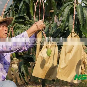 Mango Fruit Growing Paper Bag thumbnail-4