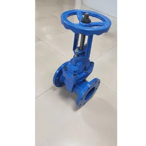 BS Rising Stem Resilient Seat Gate Valve Flanged End PN10 PN16 thumbnail-3