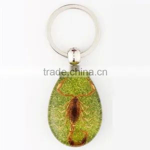 Real Insect Keychain With Scorpion thumbnail-2