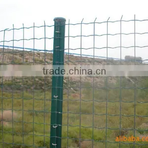 Plastic Coated Mesh for Fence Dutch Welded Wire Mesh thumbnail-1