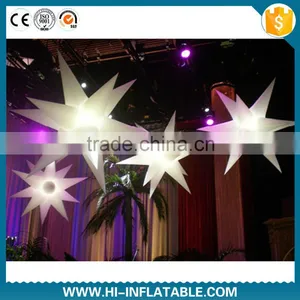 Party/event Hanging Decoration Inflatable/catering Decoration and Supply thumbnail-1