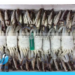 Frozen Blue Swimming Crab 100g -150g 150-200g thumbnail-1