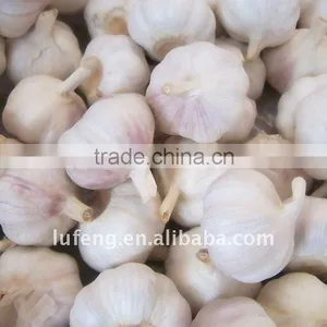 Chinese Fresh Garlic thumbnail-1