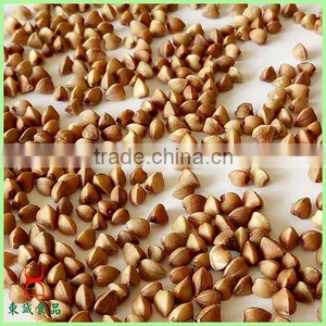 Common Cultivation Type Brown Color Roasted Buckwheat Wholesale thumbnail-5