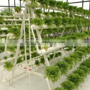 Hydroponic Frame , Hydroponic System,hydroponic for Greenhouse thumbnail-1