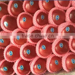 Chinese Huaniu Apple Exporting thumbnail-3