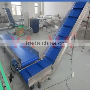 PP Lifting Belt Conveyor System by Customized thumbnail-2