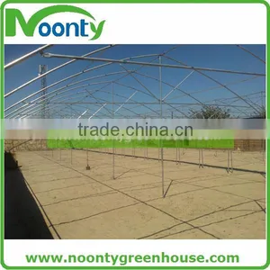 Multispan Tunnel Greenhouse for Flower thumbnail-3