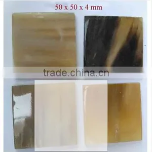 SIXTH SENSE Real Water Buffalo Horn Plates thumbnail-6