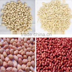 Recommend High Quality and Good Price Organic Delicious Roasted Peanuts thumbnail-2