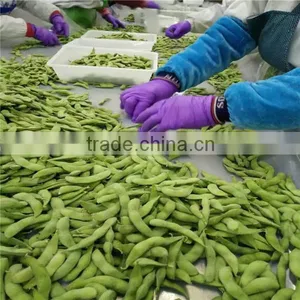 Chinese Frozen Green Soy Bean, IQF Edamame thumbnail-6