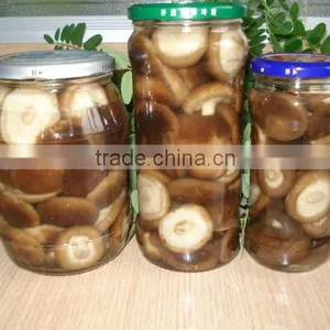 2016 New Crop Canned Shiitake thumbnail-2