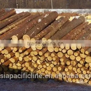HARDWOOD / LARCH WOOD LOGS TIMBER RUSSIAN ORIGIN thumbnail-2