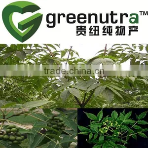 Amur Corktree Bark Extract thumbnail-1
