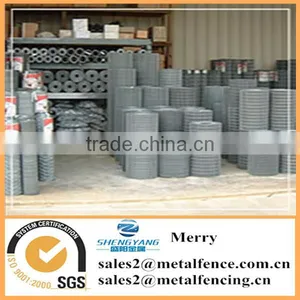 Hot Dipped Galvanized Weld Wire Mesh Fencing Chicken Coop Rabbit Cage Welded Wire Netting thumbnail-4