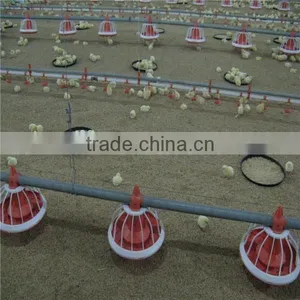 Chicken Feeder Pan thumbnail-3
