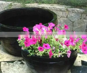 Resin Plant RSPTG-62 thumbnail-1