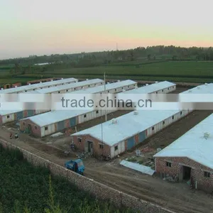 Prefab Poultry House thumbnail-1