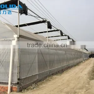 BLD Large Multi-span PE Greenhouse for Fruits thumbnail-1