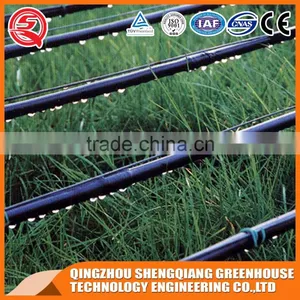 Agriculture Hollow Tempered Glass Greenhouse Dirp Irrigation for Sale thumbnail-5