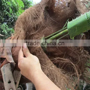 Plastic Artificial King Coconut Tree Green Large Coconut Tree thumbnail-4