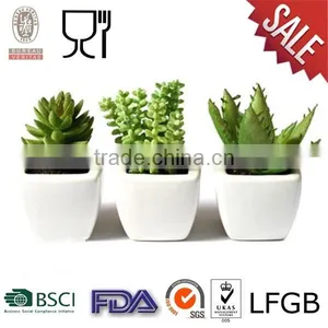 Plastic Square Flower Pot With White Color thumbnail-1
